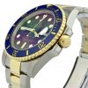 rolex submariner 116613