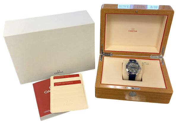 OMEGA Seamaster Diver 300m Gray Dial 210.32.42.20.06.001